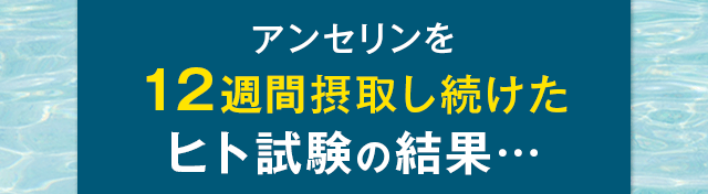 アンセリンを12週間摂取し続けたヒト試験の結果…
