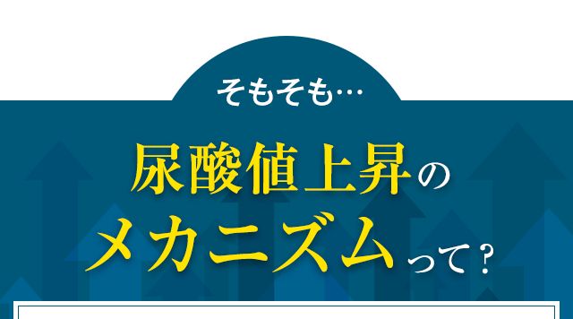そもそも…尿酸値上昇のメカニズムって？