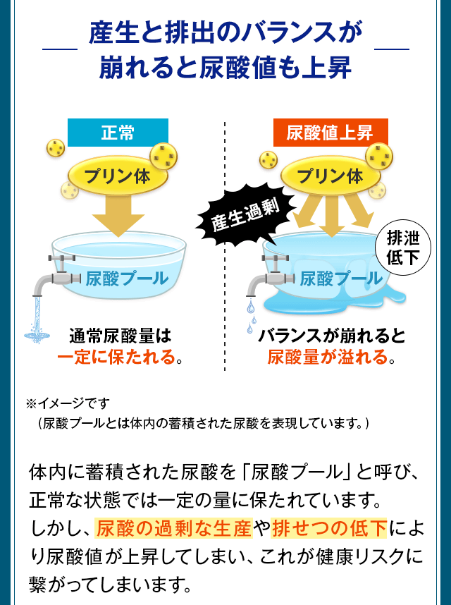 産生と排出のバランスが崩れると尿酸値も上昇