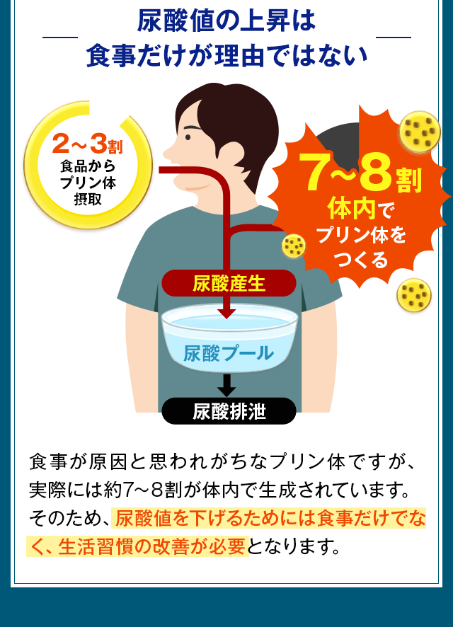 尿酸値の上昇は食事だけが理由ではない