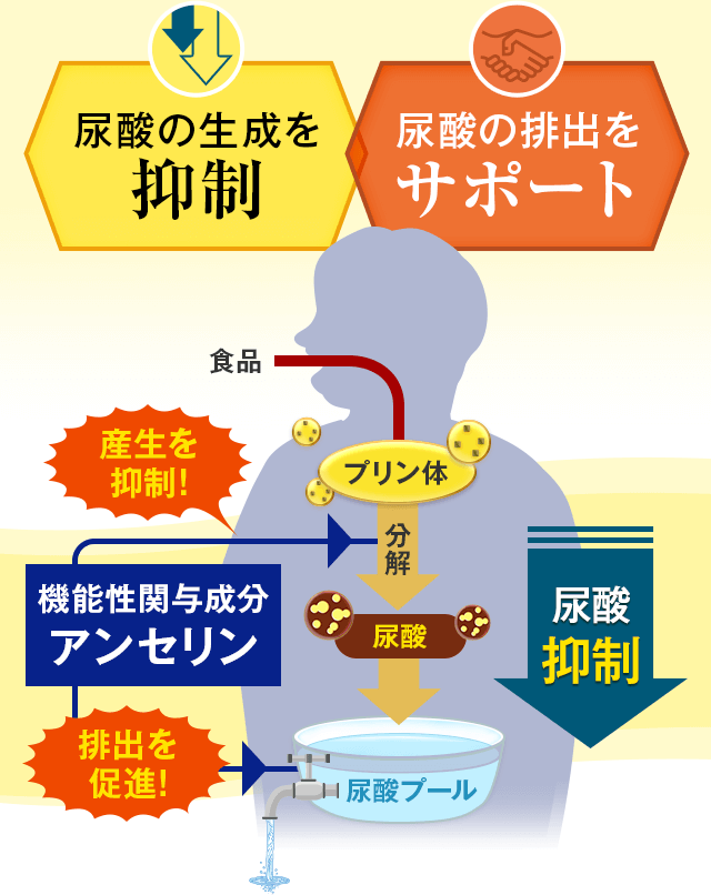 尿酸の生成を抑制 尿酸の排出をサポート