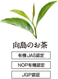 向島のお茶有機JAS認定農園NOP有機認定農園JGP認証