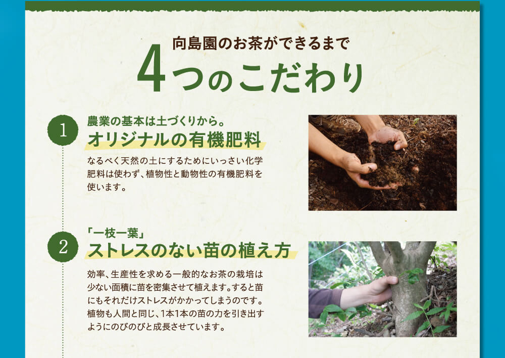 4つのこだわり 1 農業の基本は土づくりから。オリジナルの有機肥料 2 「一枝一葉」ストレスのない苗の植え方