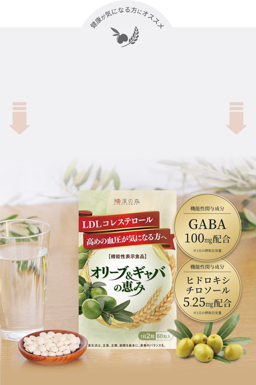 和漢の森 オリーブギャバの恵み 60粒入り 健康食品 サプリメント 6袋