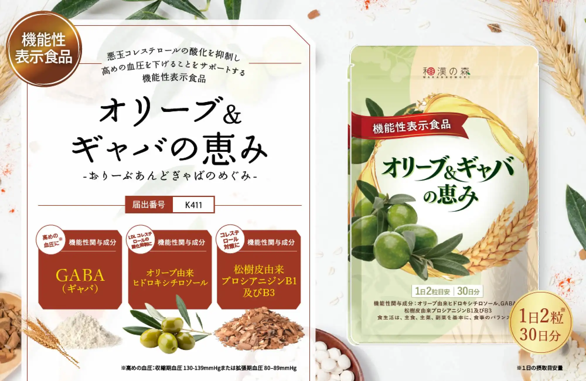 乳酸菌＆イチョウ葉の恵み