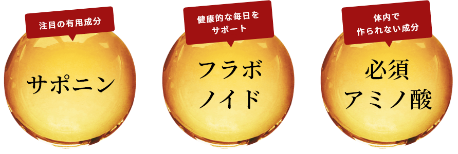 注目の有用成分サポニン　健康的な毎日をサポートフラボノイド　体内で作られない成分必須アミノ酸