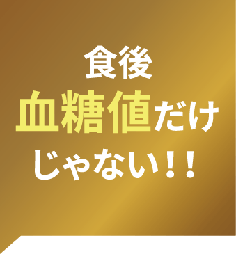  食後血糖値だけじゃない！！