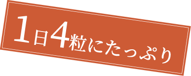 1日4粒にたっぷり
