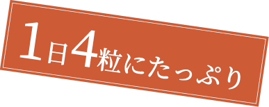  1日4粒にたっぷり