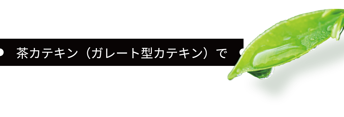 茶カテキン(ガレート型カテキン)で