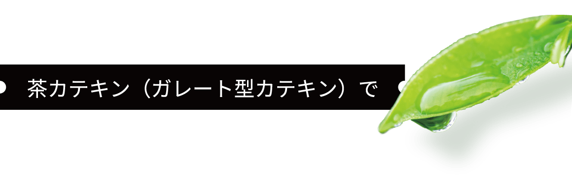  茶カテキン（ガレート型カテキン）で