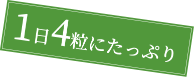 1日4粒にたっぷり