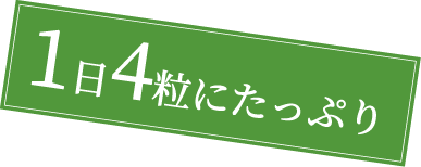  1日4粒にたっぷり