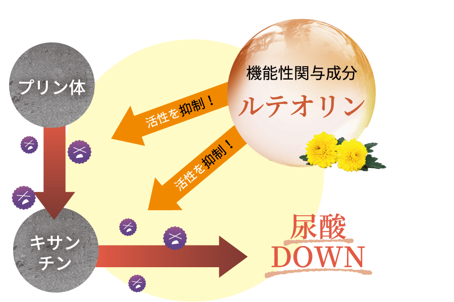 公式】菊の花＆カテキンの恵み│脂肪対策サプリメント