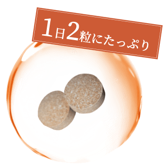 1日2粒たっぷり