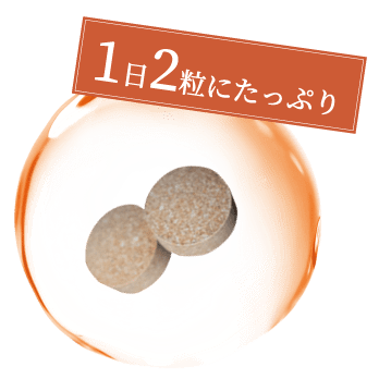 1日２粒たっぷり