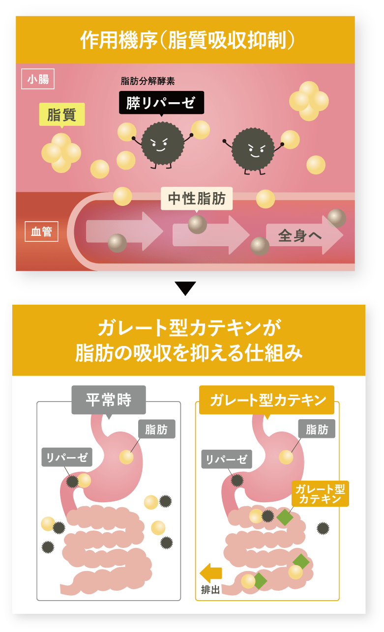 抑制図