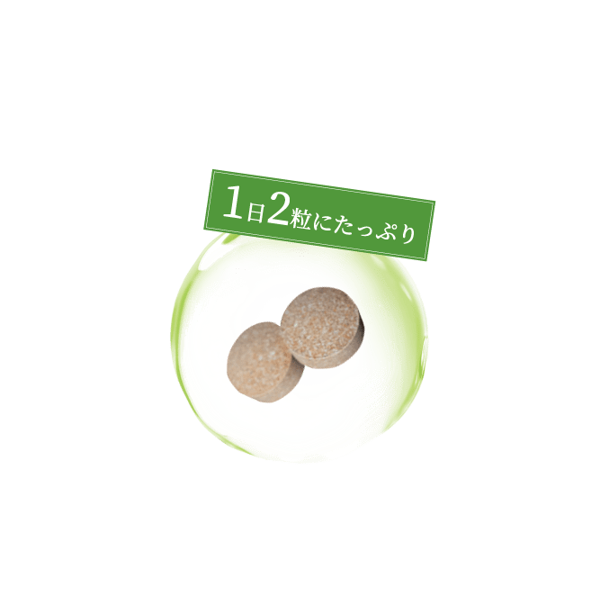 1日2粒にたっぷり