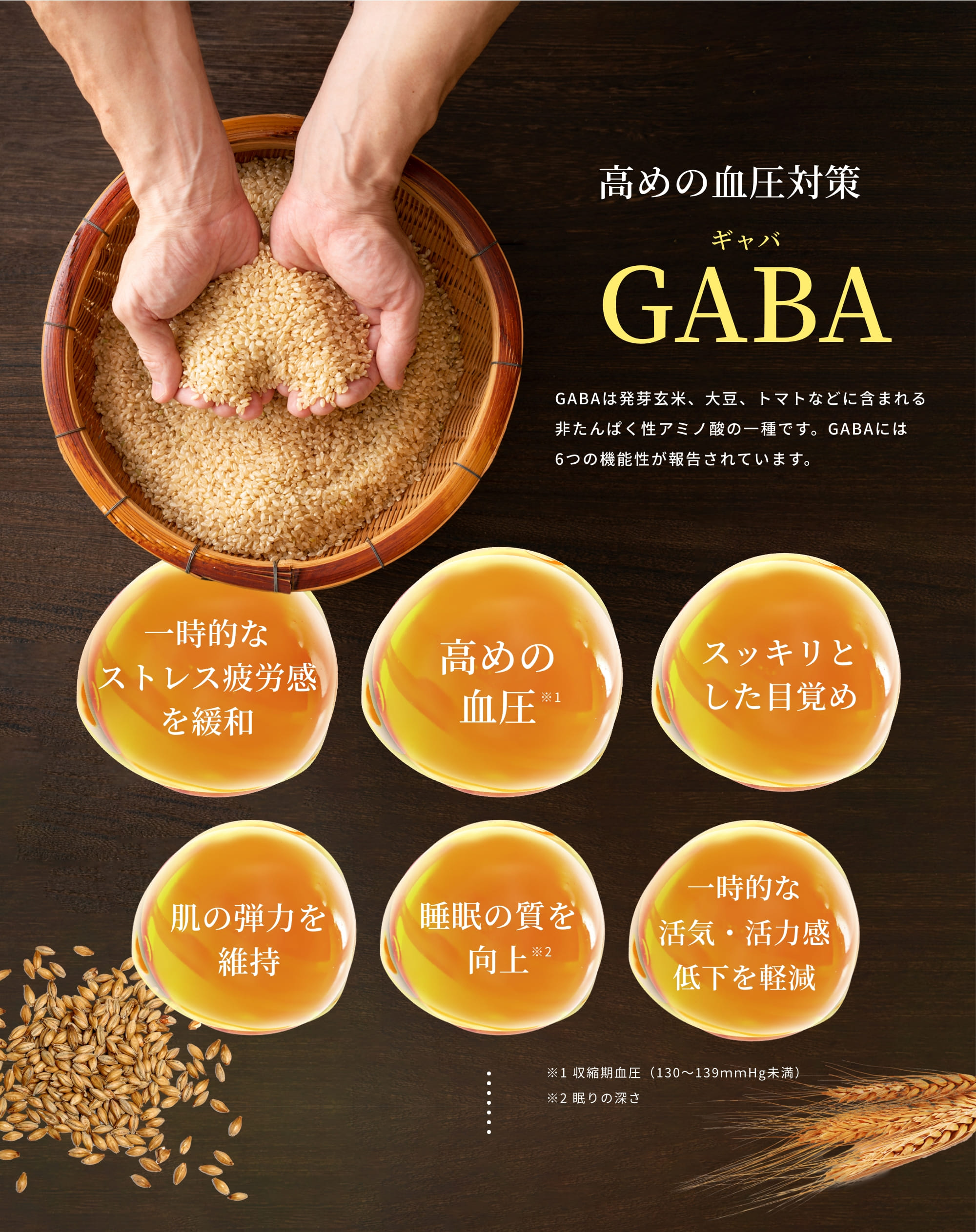 高めの血圧対策 GABA