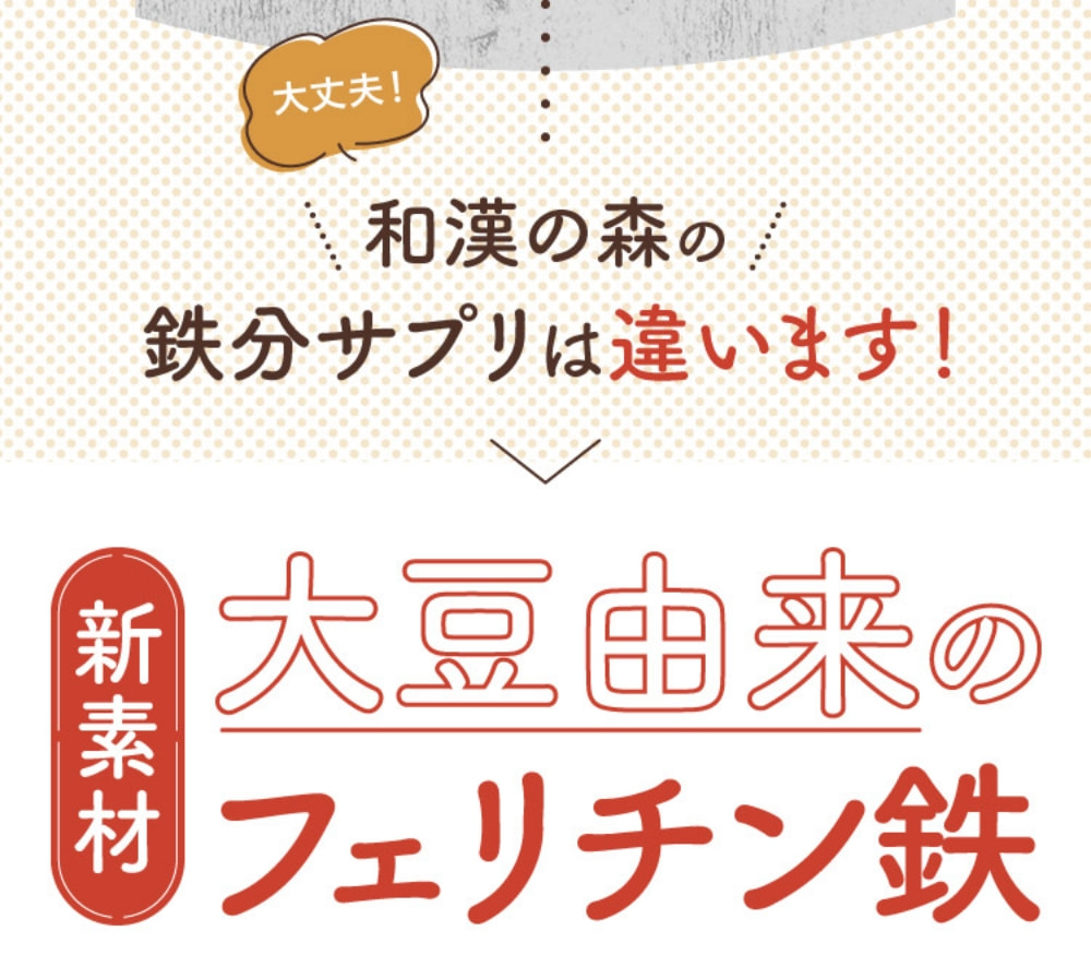 好評 鉄分 サプリ フェリチン フェリチン鉄 ヘム鉄 非ヘム鉄 鉄 亜鉛 ビタミン 葉酸 鉄分不足 レバー 和漢の森 NAGOMI 貧血 