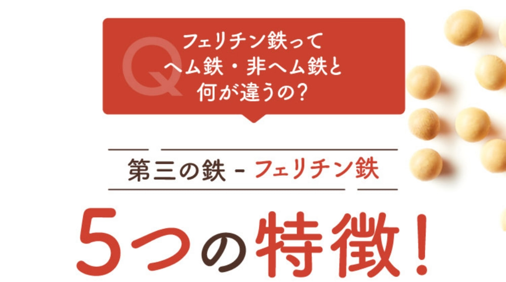 5つの特徴!