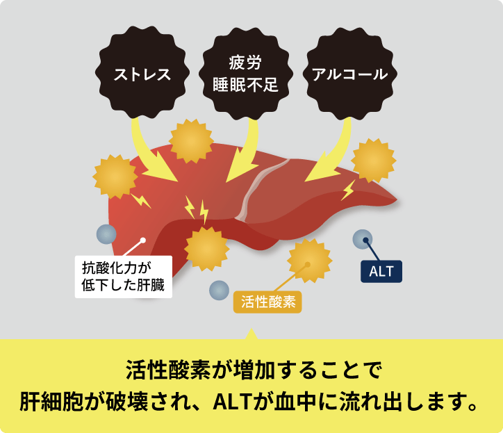 疲れが取れにくい