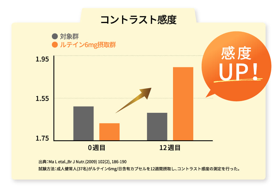 コントラスト感度