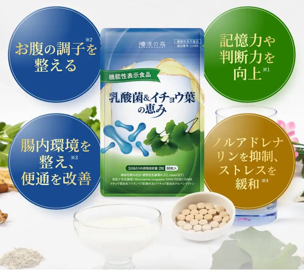公式】乳酸菌＆イチョウ葉の恵み│和漢の森