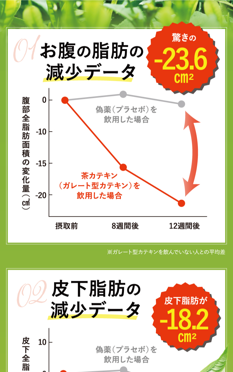 漢方アドバイザー