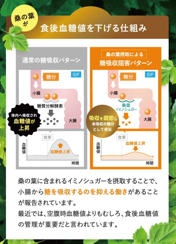 漢方アドバイザー