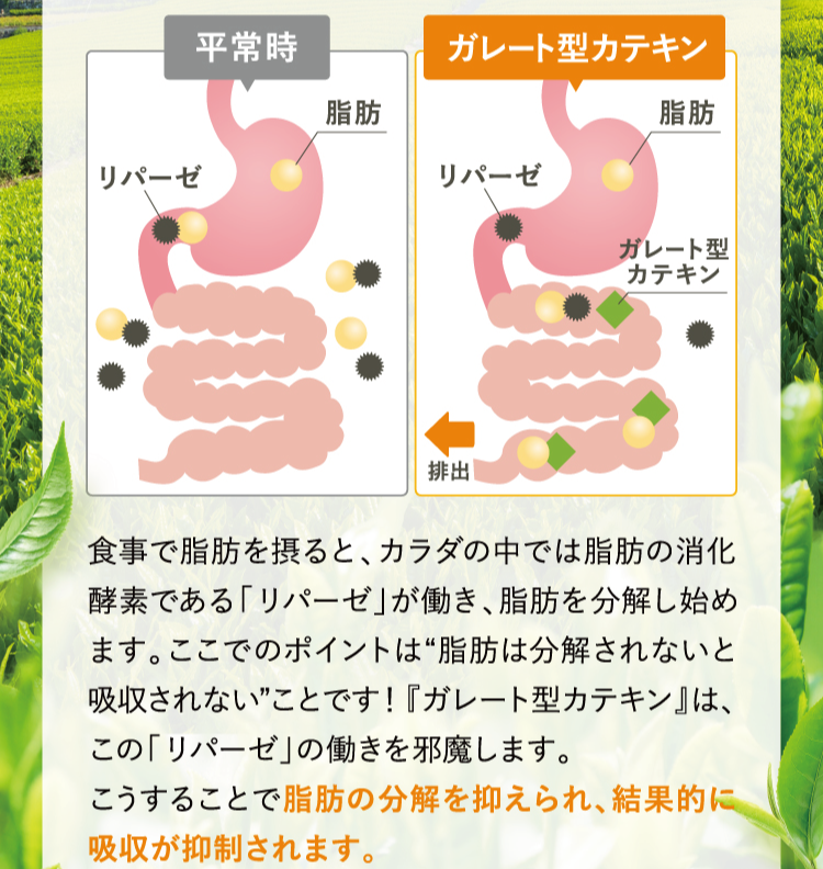 漢方アドバイザー