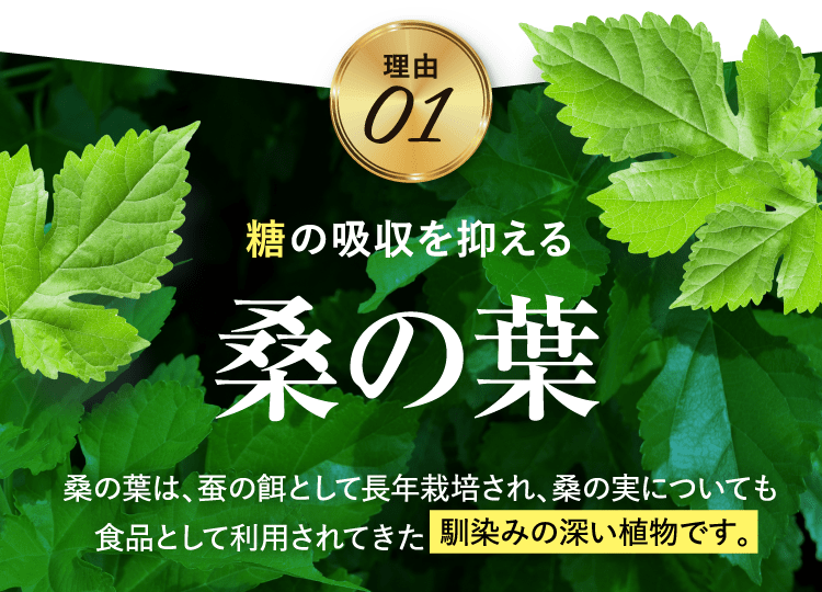 糖の吸収を抑える 桑の葉