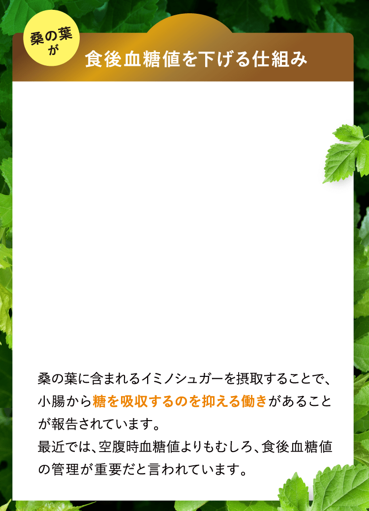 食後血糖値を下げる仕組み