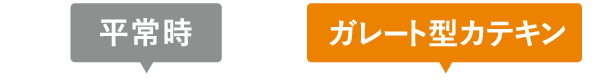 平常時 ガレート時カテキン