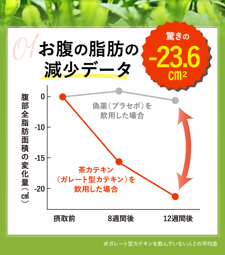お腹の脂肪の減少データ