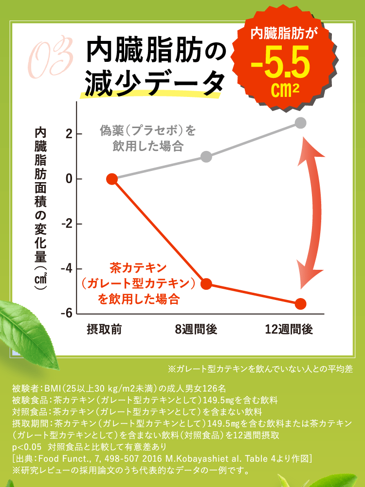 内臓脂肪の減少データ