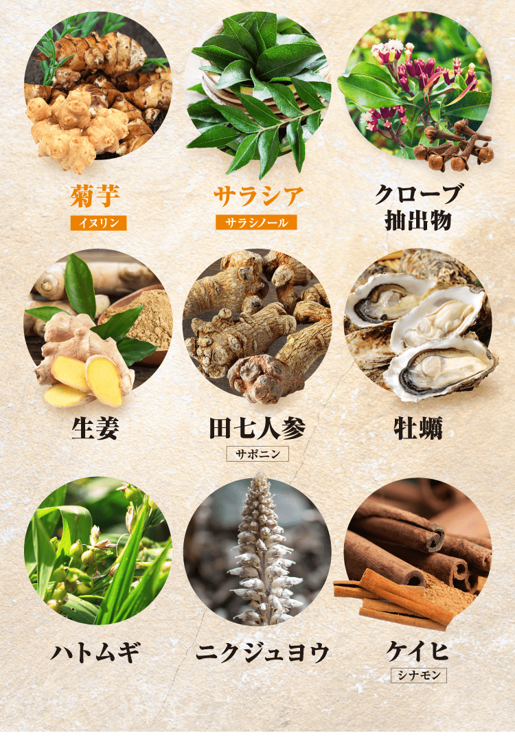 菊芋…