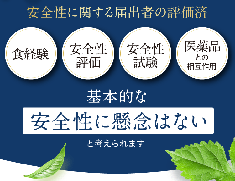 安全性に関する届出者の評価済