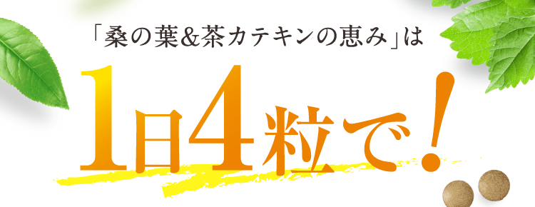 「桑の葉&茶カテキンの恵み」は1日4粒で!