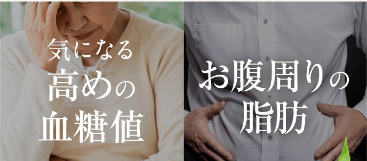 気になる高めの血糖値 お腹周りの脂肪