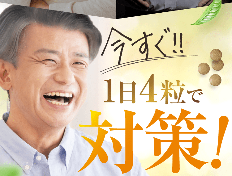 今すぐ1日4粒で対策!