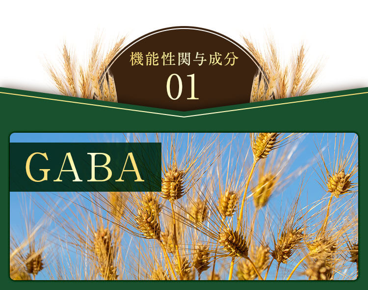 機能性関与成分01