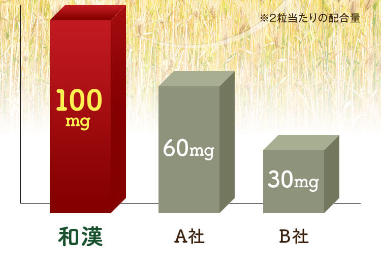 2粒にたっぷり100㎎配合