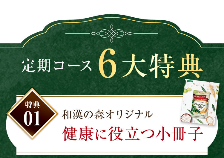 定期コース6大特典