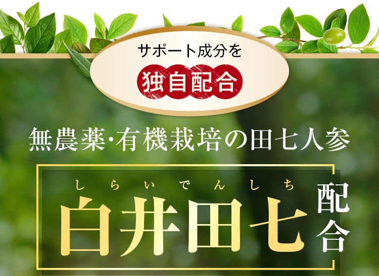 無農薬・有機栽培の田七人参白井田七配合