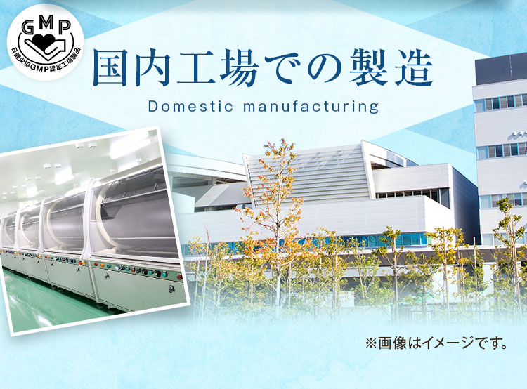 国内工場での製造