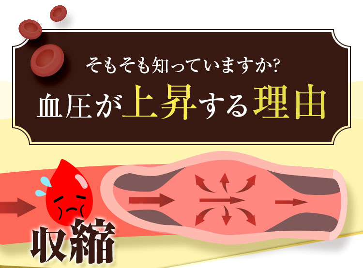 そもそも知っていますか?