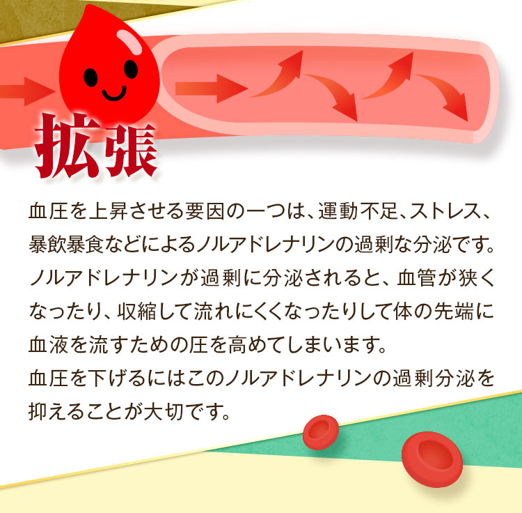 血圧が上昇する理由