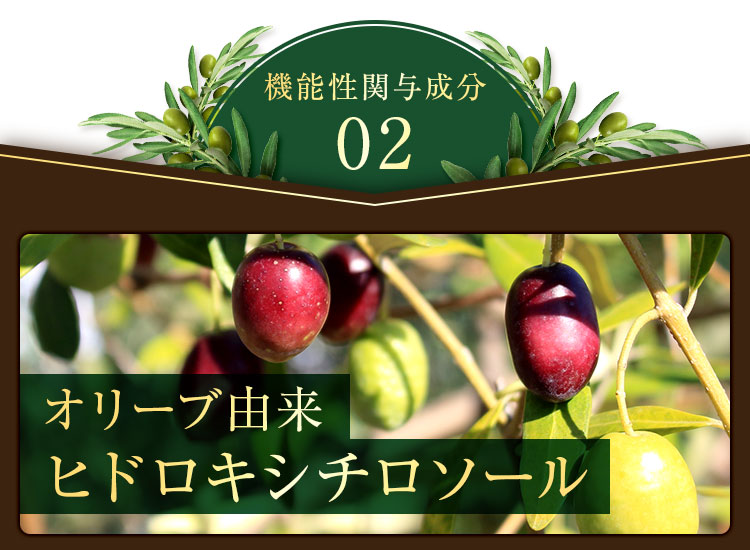 機能性関与成分02