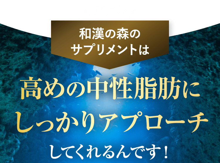 だから和漢の森のサプリメントは高めの中性脂肪にしっかりアプローチしてくれるんです！